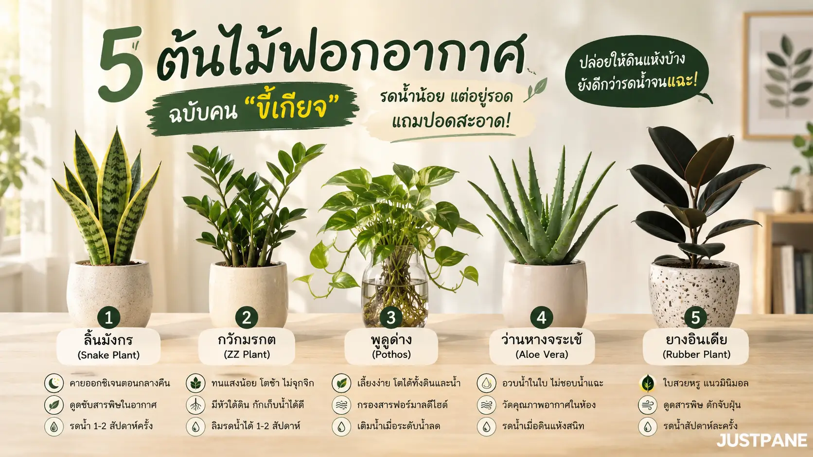 ต้นไม้ฟอกอากาศ